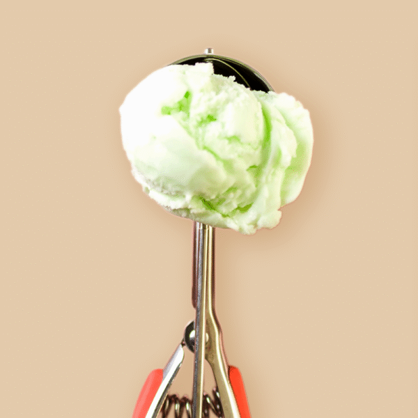 Helado Melón x 10 Kg